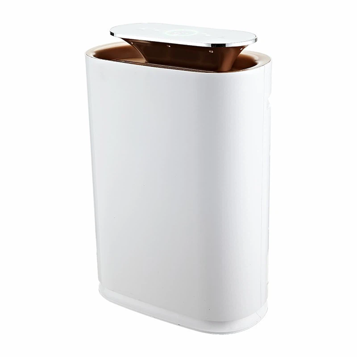 Multi-Stage Sterilization Air Purifier factory