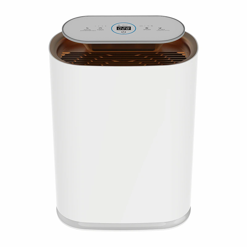 Purifier Aeir Scagtha Il Chiseal